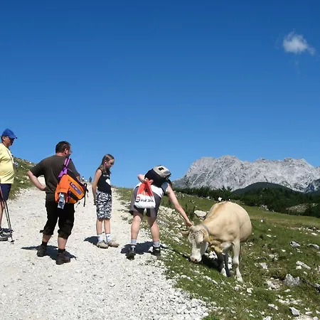 Luxury & Sauna Kati - Velika Planina - I Feel Alps * Stahovica